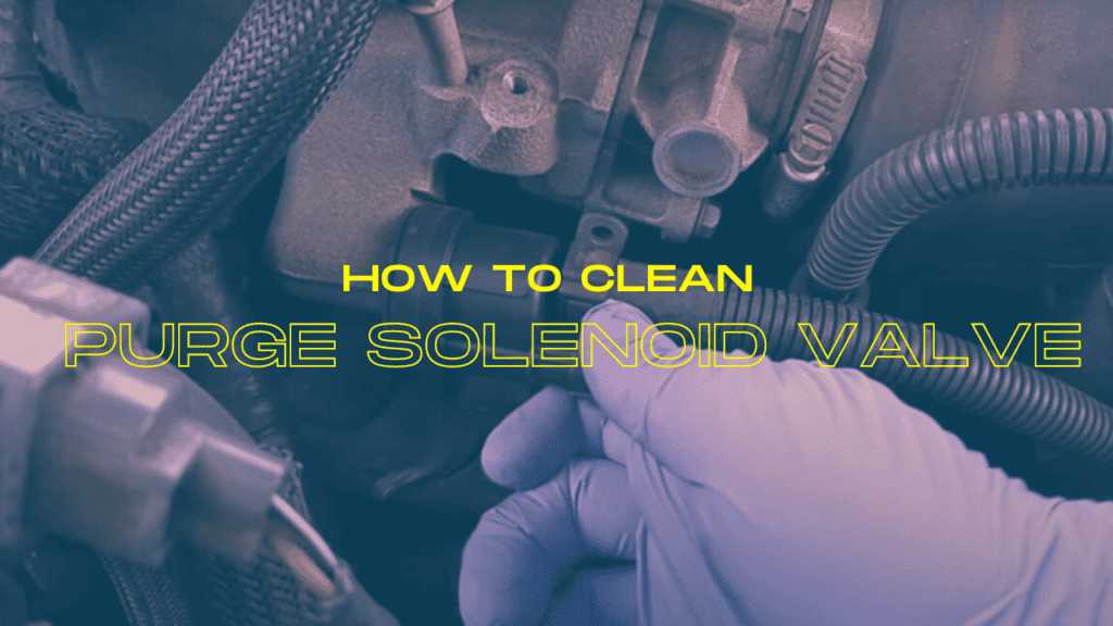 how to clean purge solenoid