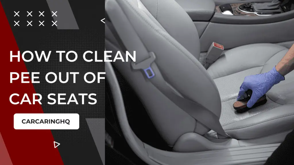How to Clean Pee Out of Car Seats: Tips and Tricks