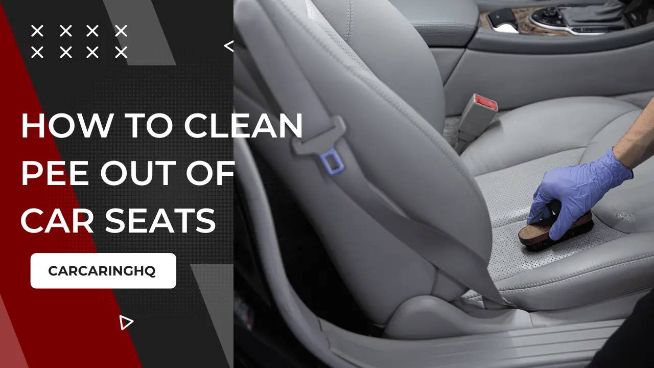 how-to-clean-pee-out-of-car-seats-tips-and-tricks-carcaringhq