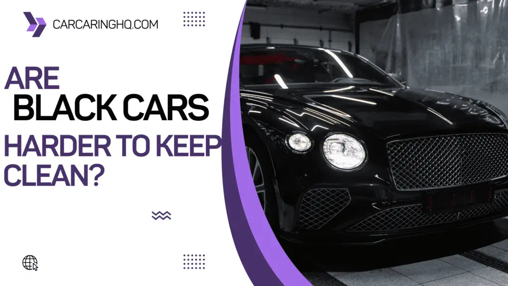 Are Black Cars Harder to Keep Clean? Tips for Maintaining Your Black Car