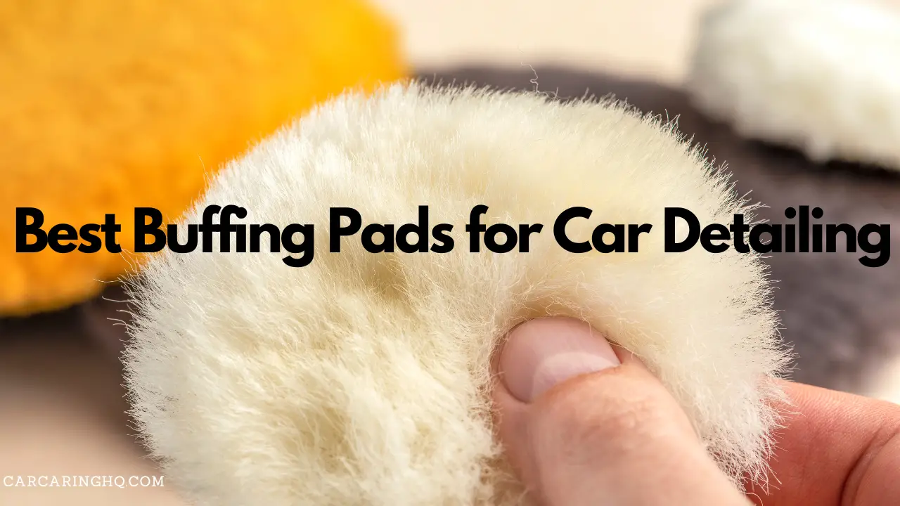 The 6 Best Buffing Pads for Car Detailing {Review} TOP PICKS