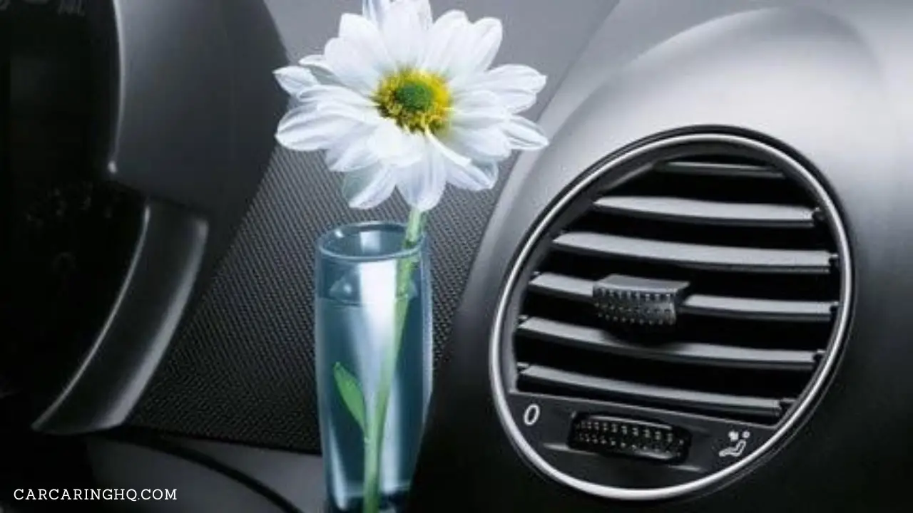 Volkswagen Beetle Bud Vase History Adding a Touch of Nature to the